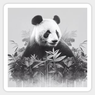 Panda Nature Outdoor Imagine Wild Free Sticker